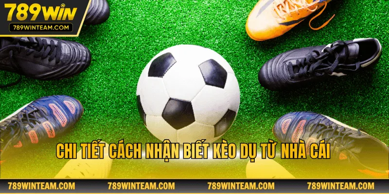 Hướng dẫn cách nhận biết kèo dụ trên bảng tỷ lệ odds