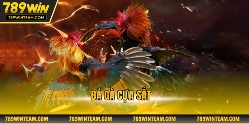 Đá gà cựa sắt