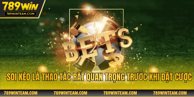 Soi kèo là thao tác rất quan trọng trước khi đặt cược