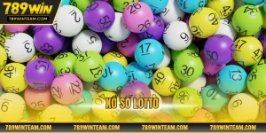 Xổ số lotto